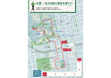北海道のウォーキングコース Copd 慢性閉塞性肺疾患 に関する情報サイト 北海道のウォーキングコース Copd 慢性閉塞性肺疾患 に関する情報サイト